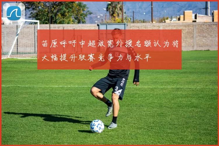 苗原呼吁中超放宽外援名额认为将大幅提升联赛竞争力与水平
