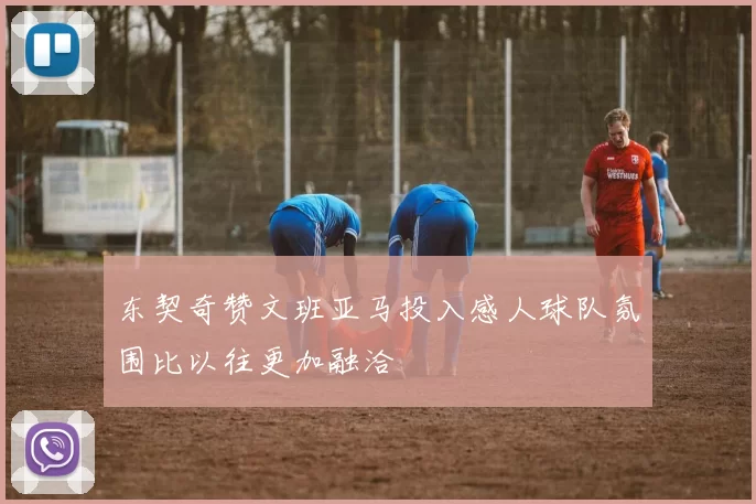 东契奇赞文班亚马投入感人球队氛围比以往更加融洽